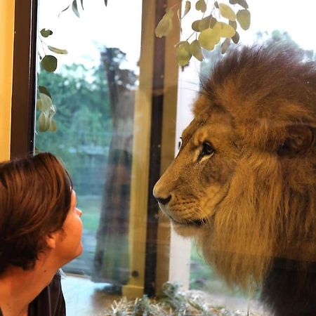 Big Cat Bungalows At The Haven - Lion 2 Canastota المظهر الخارجي الصورة